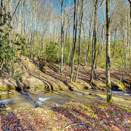 Fulmers' Fish Camp Maggie Valley Extérieur photo